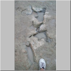 100_0684 (2009-27-07)cr.jpg